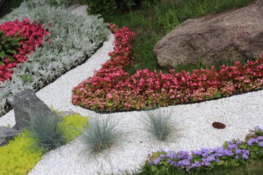 Kiev şehir parkında taşlar ve bitkilerle birlikte peyzaj kompozisyonu. Alp kaydırma