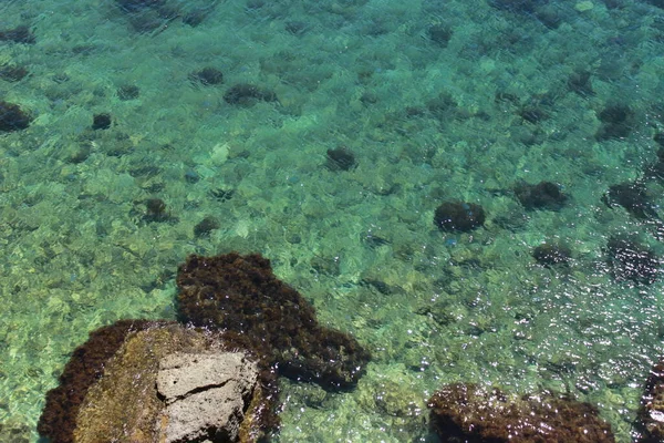 Clean coastal waters of the Black Sea coast of the Western Crimea in the rays of the summer sun. Tarkhankut. Ukraine