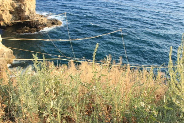 Vista Desde Ladera Cubierta Hierba Del Acantilado Hasta Aparejo Pesca — Foto de Stock