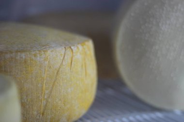 Küfle kaplanmış bir peynir kafalının yakın çekimi.