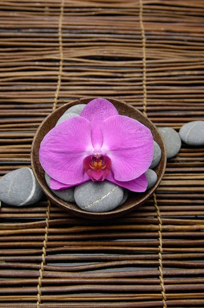 Rosa Orchidee Und Steine Schale Auf Matte — Stockfoto