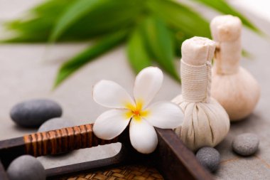 Spa tedavisi sahne, zen gibi kavramları.