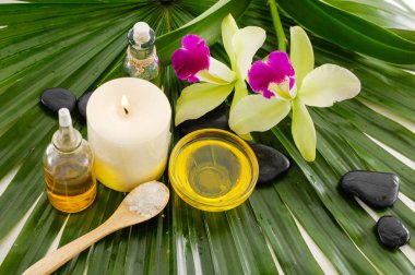 Palmiye yaprak Spa ayarı