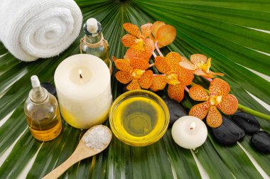 Palmiye yaprak Spa ayarı