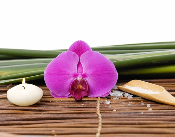Rote Orchidee Und Bambushain Mit Salz Kerze Auf Matte — Stockfoto