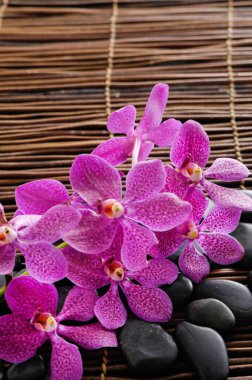 Pembe, orkide mat taş yığını ile