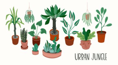 Kentsel ormanda. Vektör çizim trendy houseplants ile.