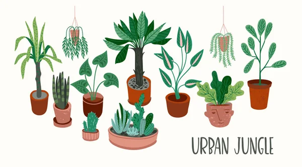 Na selva urbana. Ilustração vetorial com plantas de sala na moda . — Vetor de Stock