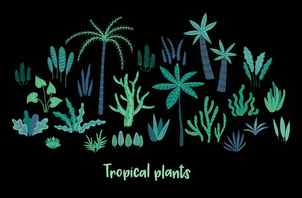 Conjunto vectorial de plantas tropicales abstractas. Elementos de diseño — Vector de stock
