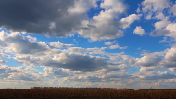 Intervalo de disparo de nubes increíblemente hermosas flotando sobre el campo de primavera en Siberia — Vídeo de stock