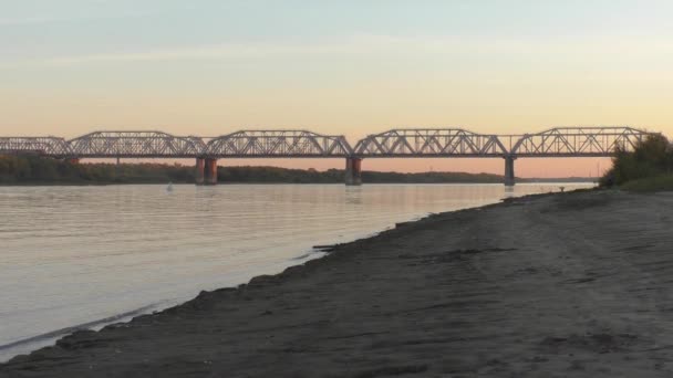 Αμαξοστοιχία στη γέφυρα πέρα από τον ποταμό στη Σιβηρία το βράδυ, στο ηλιοβασίλεμα. βίντεο χωρίς διόρθωση χρώματος — Αρχείο Βίντεο