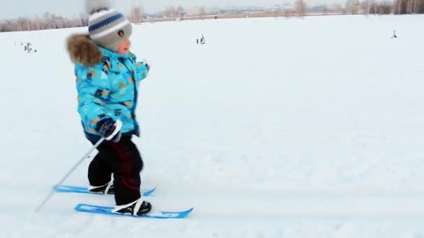 Little Boy Three Years Learns Ski City Park Evening — Stock Video