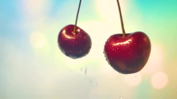 Вишневые ягоды обрезаны, распыляя сок по бокам. замедленное движение — стоковое видео