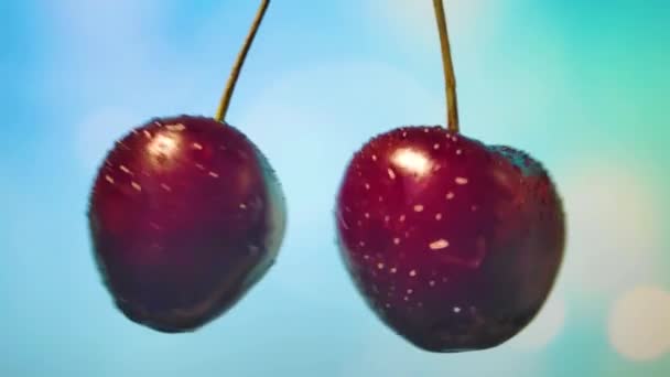 Vişne meyveleri kesilmiş, yanlara meyve suyu püskürtme. yavaş çekim — Stok video
