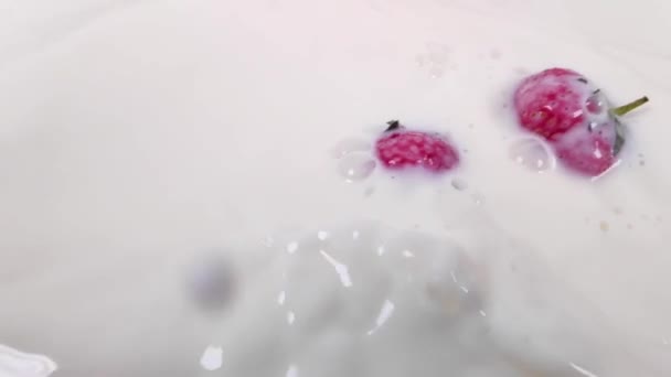 草莓落在精致的奶油里.慢动作 — 图库视频影像