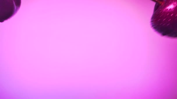 Las jugosas cerezas oscuras espolvorean jugo sobre un fondo rosado. cámara lenta — Vídeo de stock