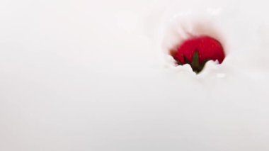 Çilekler narin kremanın içine düşer. yavaş çekim