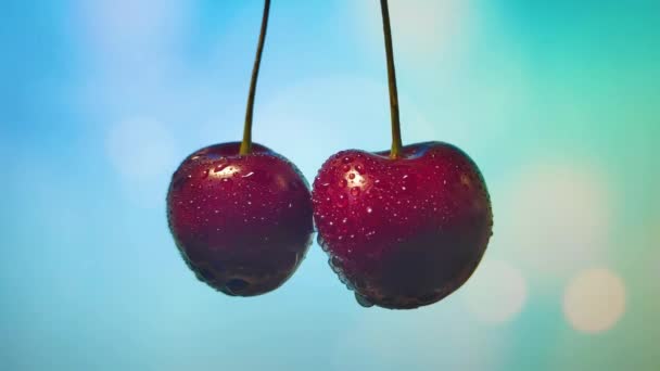 Вишневі ягоди нарізані, розбризкуючи сік з боків. повільний рух — стокове відео