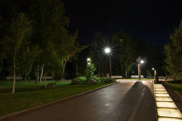 Landskap Night City Park på sommaren utan människor — Stockfoto