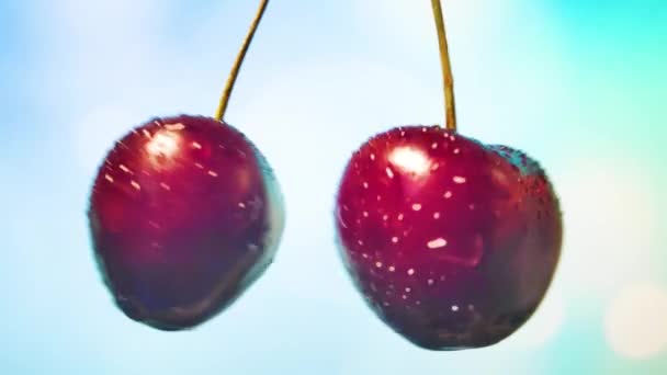 Kirschbeeren schneiden, Saft auf die Seiten sprühen. Zeitlupe — Stockvideo