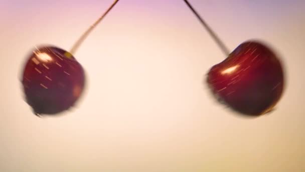 Jus de cerises noires juteuses saupoudrer sur un fond rose. au ralenti — Video