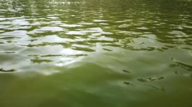 Göldeki suyun yüzeyinde güneş ışığı parlaması var. Şehir gölünün dalgalarında ışığın yansıması