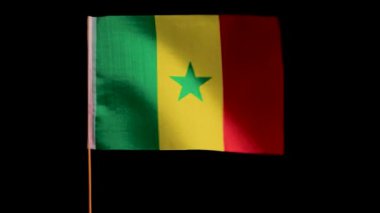 Senegal 'in ulusal bayrağı rüzgarda dalgalanıyor, siyah bir arka planda.