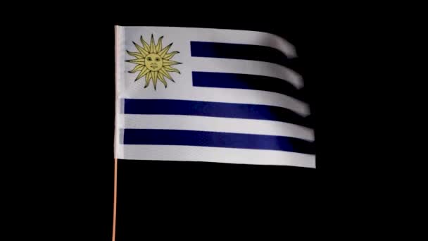 ウルグアイの国旗が黒を背景に風に乗って飛んでいます — ストック動画