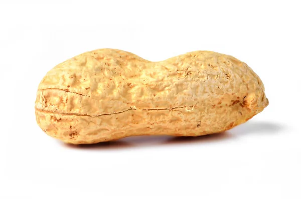 Unpeeled raw peanut isolated on white background — Stock Photo, Image