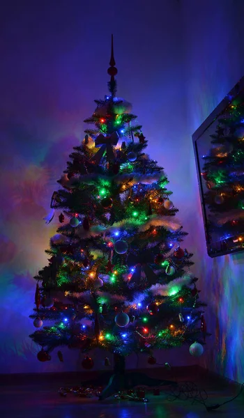 Árvore de Natal iluminada colorida dentro de casa à noite estilizada em azul — Fotografia de Stock