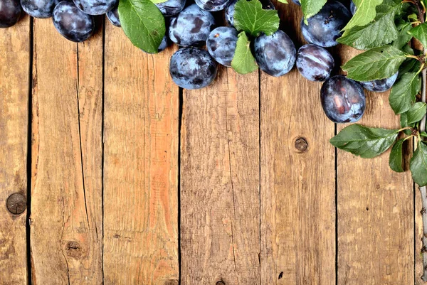 Blue plums and fresh leaves frame on rustic wooden background. VIew from above and copy space. — Stock Photo, Image