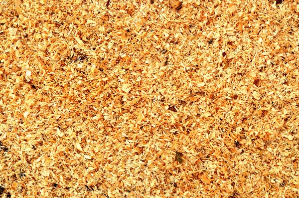 Wooden sawdust background texture pattern. Close-up. — Stock Photo, Image