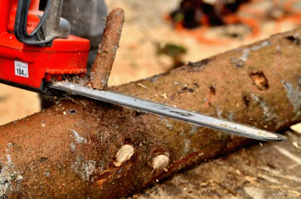 Dettaglio di una catena di motosega mentre taglia rami da un tronco d'albero — Foto Stock