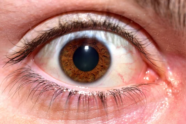 Macro detalle del ojo humano femenino con pupila marrón —  Fotos de Stock