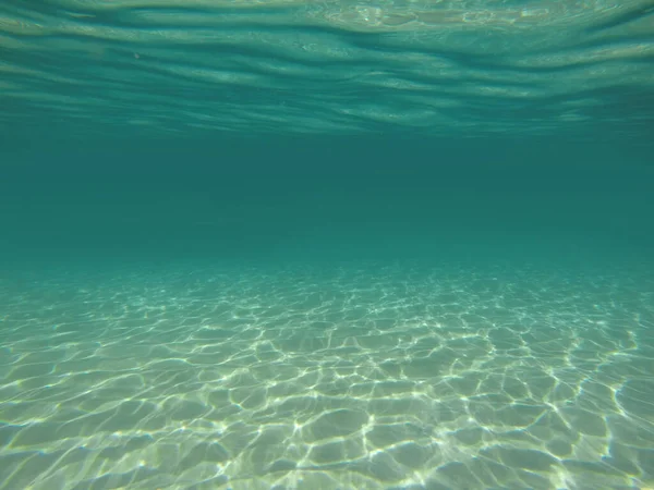 Prachtig Van Tranquil Onderwater Scene Met Kopieerruimte — Stockfoto