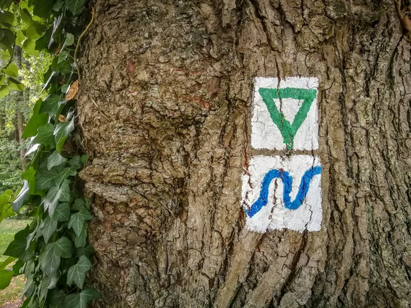 Typical german painted trail markers on a tree showing the direction of hiking trails