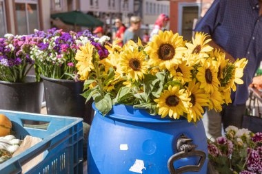 Neckargemuend, Germany: September 20, 2020: regional seasonal market in autumn with local products, called 