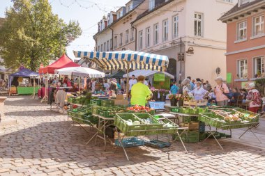 Neckargemuend, Almanya: 20 Eylül 2020: 