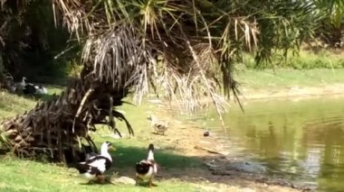 Sığınağa gidiyor 