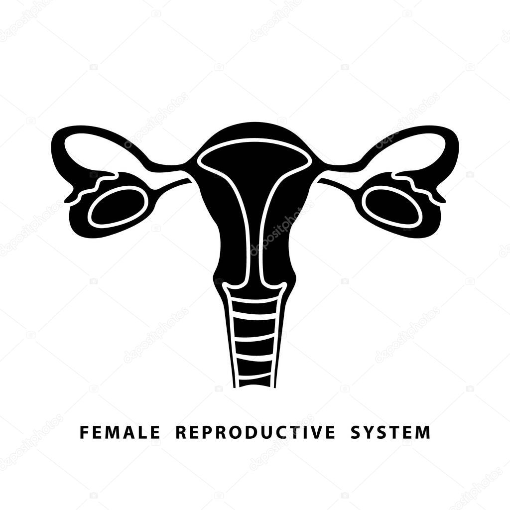 Cutout silhouette Female reproductive system icon. Outline template for anatomy poster. Black simple illustration. Flat isolated vector image on white background. Cartoon vagina and uterus