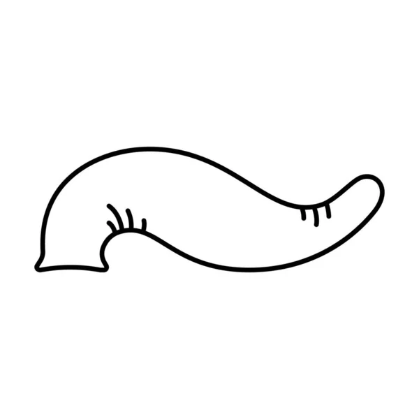 Ikona Pijawki Liniowe Logo Hirudoterapii Lub Pijawki Czarna Prosta Ilustracja — Wektor stockowy