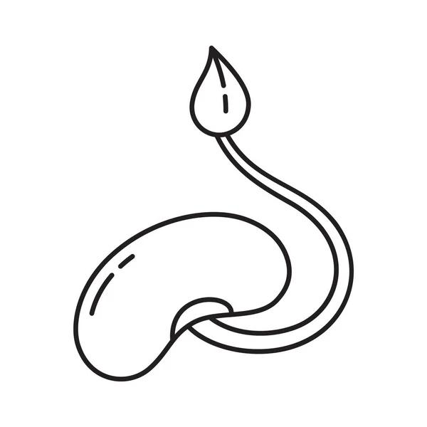 Bohnen Keimen Mit Blattsymbol Für Das Saatthema Lineares Logo Von — Stockvektor