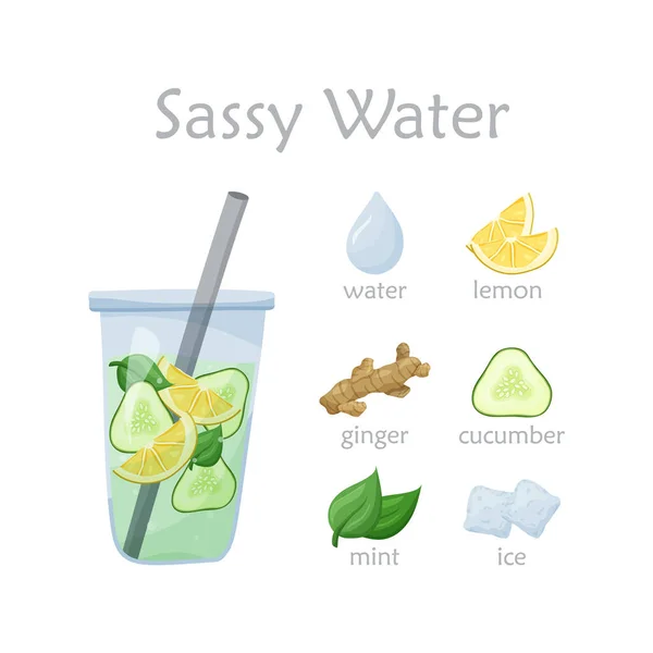 Recipe Healthy Sassy Water Flat Food Vector Illustration Cartoon Hand — Stock Vector