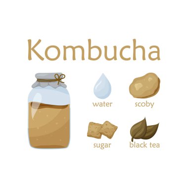 Sağlıklı kombu çayı tarifi. Düz gıda vektör çizimi. Çizgi filmdeki el detoks çayı. Scoby ve malzemelerle dolu cam kavanoz. Şeker, su, çay, beyaz arka planda Çin mantarı. Renkli poster