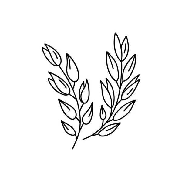 Yulaf Filizleri Buğday Kulakları Taslak Izole Edilmiş Simgeler Logo Baskı — Stok Vektör