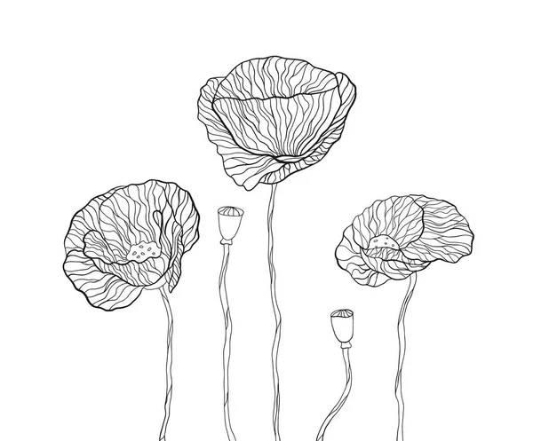 ケシの花セット 植物や自然のための線形イラスト 花屋の落書きのシンボル 花の店 概要白地に黒い手描きのイメージ 孤立したベクトルスケッチ — ストックベクタ