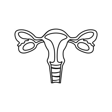 Dişi üreme sistemi simgesi. Anatomi posteri için doğrusal şablon. Siyah basit bir illüstrasyon. Beyaz arkaplanda izole edilmiş vektör resmini birleştir