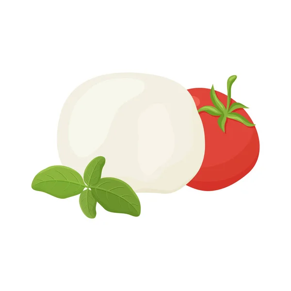 Kula Mozzarella Pomidor Zielona Gałąź Bazylii Ręcznie Rysowana Ilustracja Kreskówki — Wektor stockowy