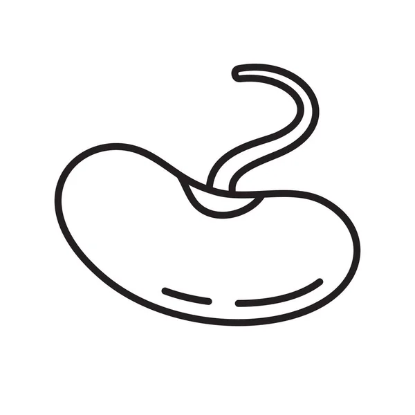 Ikona Fasoli Liniowe Logo Diety Surowej Świeżych Produktów Sałatki Siewu — Wektor stockowy
