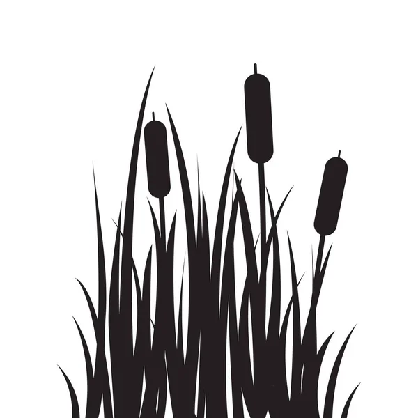 Silhouet Gras Met Bulrush Illustratie Voor Natuur Flora Waterplant Landschap — Stockvector